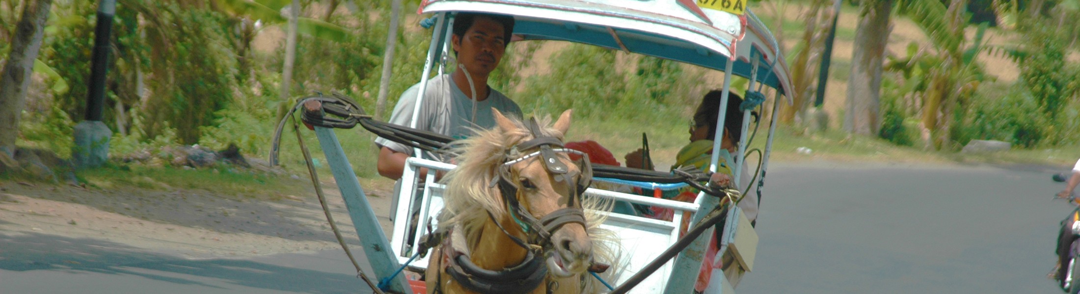 Bestellen & Bezorgen