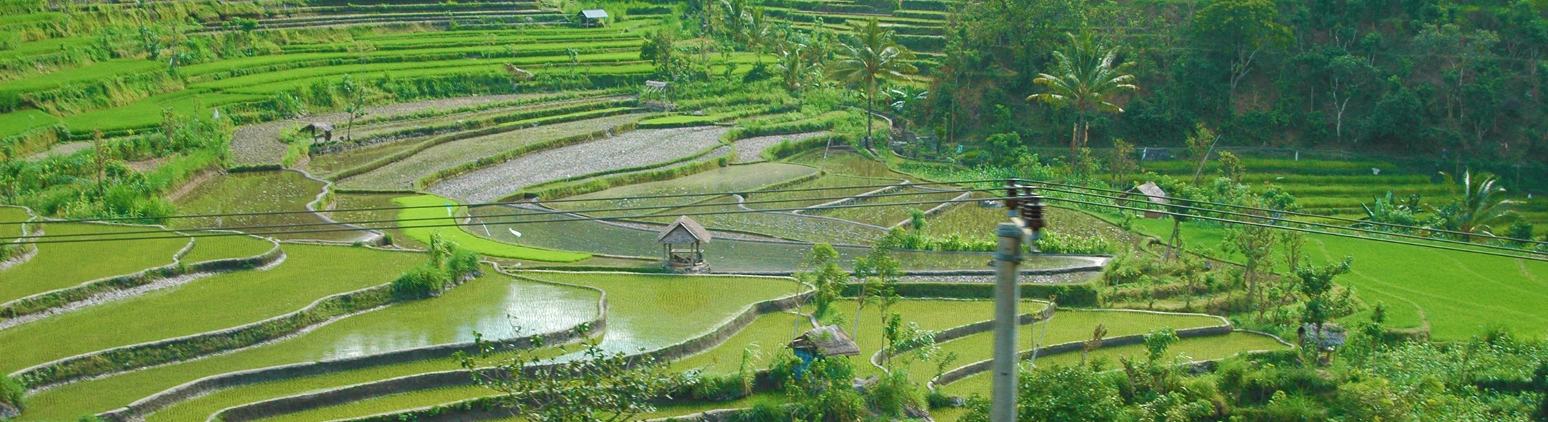 Klantenservice - betalen